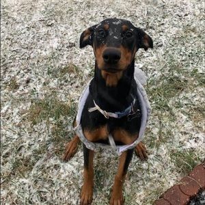 Meet your Posher, Mary